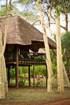 Ubizane Zululand Tree Lodge